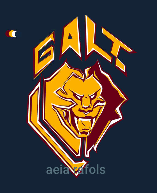 Shirt Logo Commission